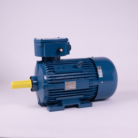 Fussmotor BM/ATB IE4 3kW IEC100L 4P B3 GG Exde
